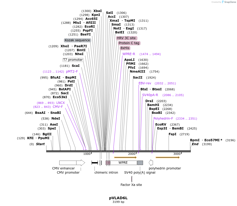 56644_map