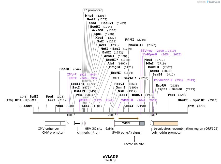 56645_map
