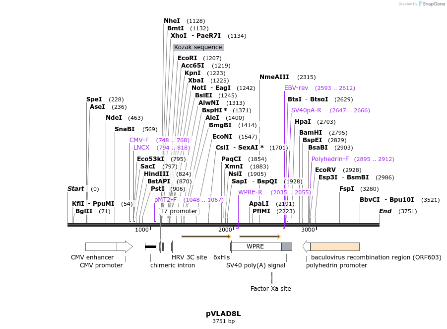 56646_map