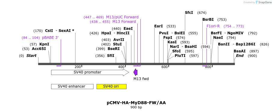 56656_map