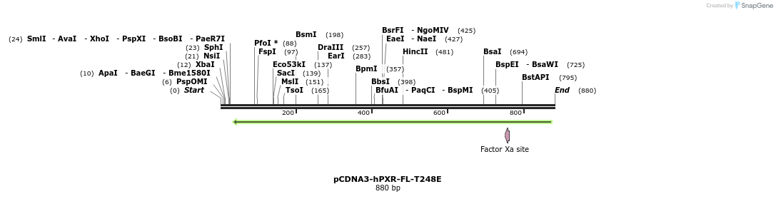56659_map