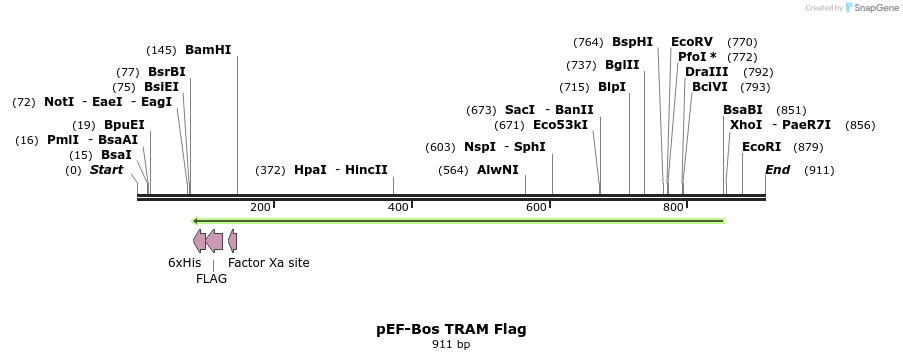 56666_map