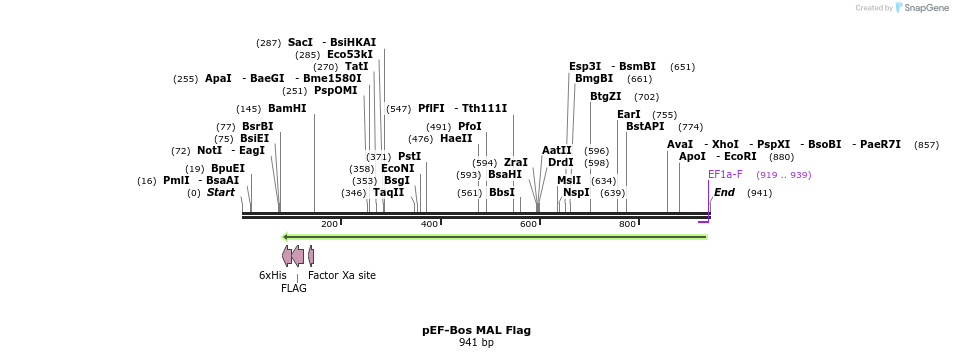 56667_map
