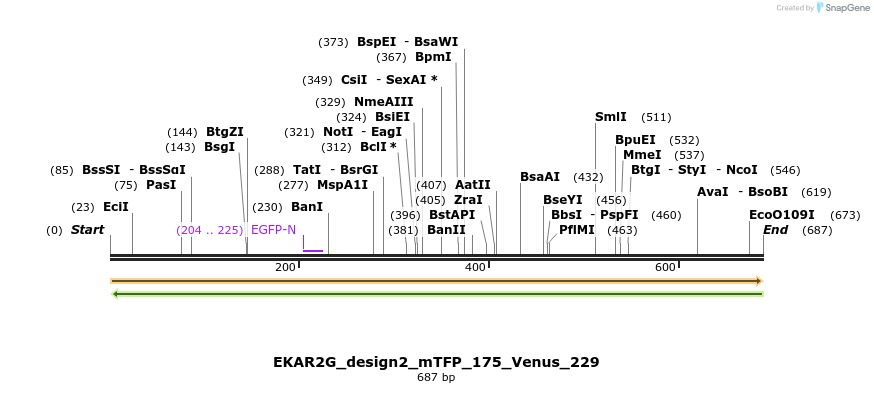 56669_map