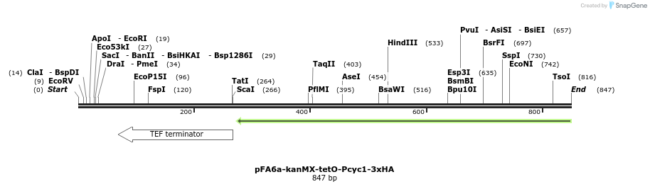 56672_map