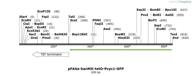 56674_map