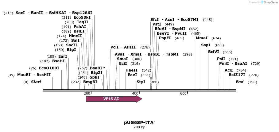56676_map