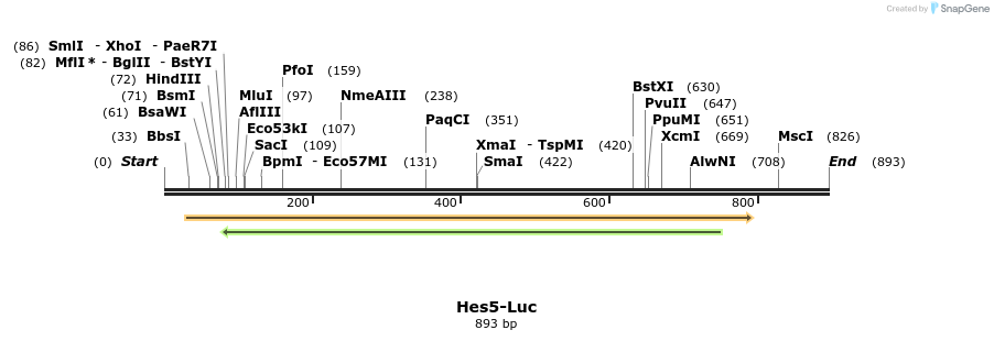 56681_map