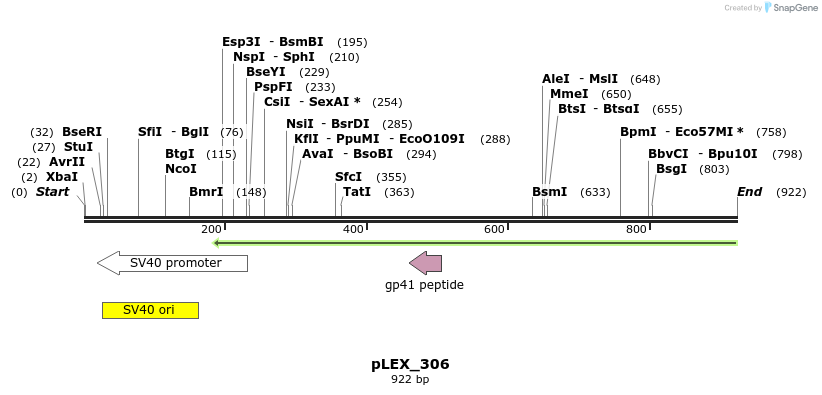 56684_map