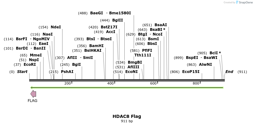 56685_map