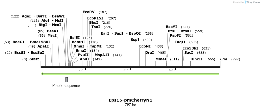 56694_map