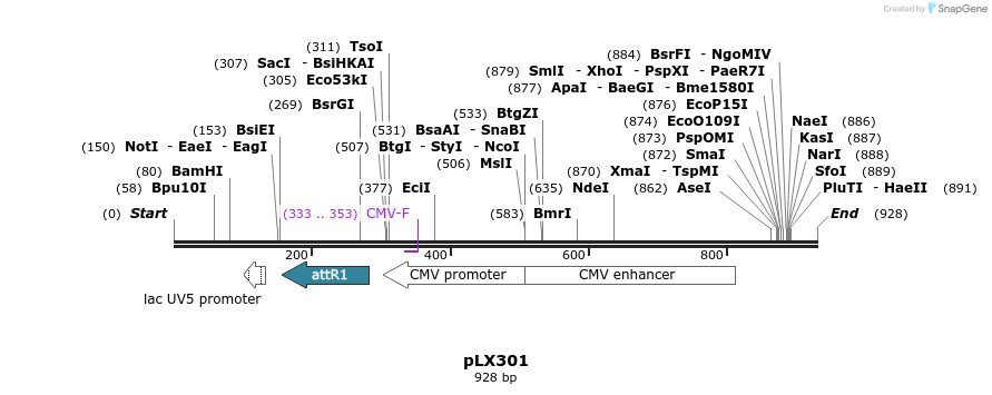 56709_map