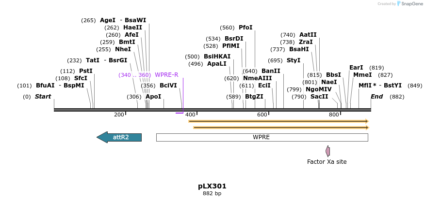 56710_map