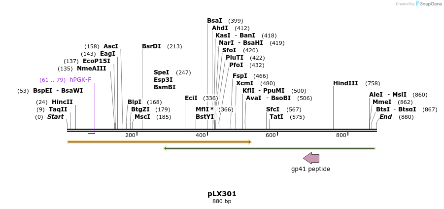 56711_map