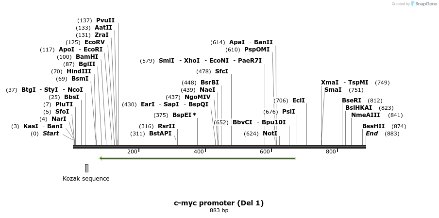 56734_map