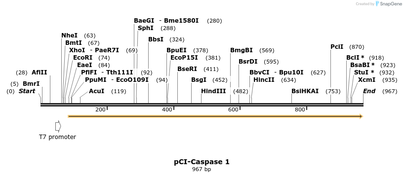 56766_map