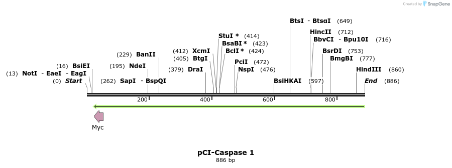 56768_map