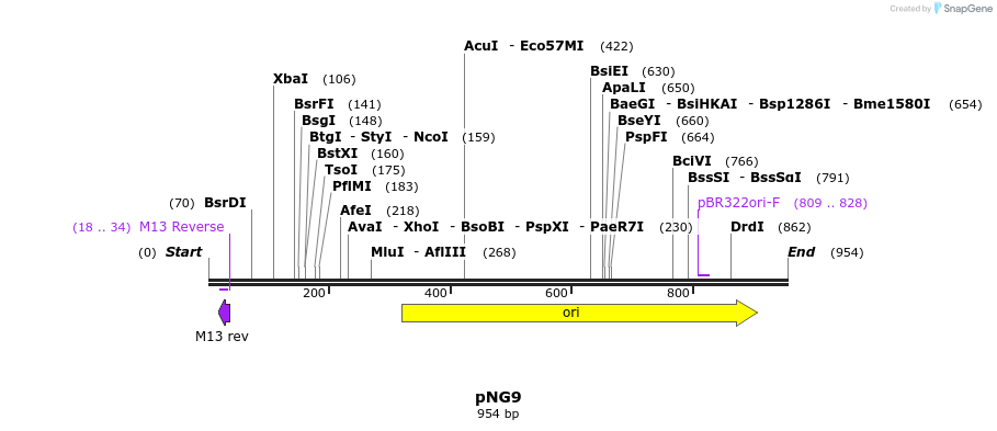 56771_map