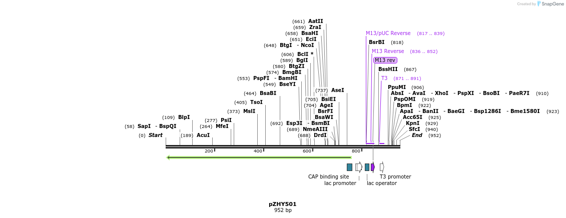 56774_map