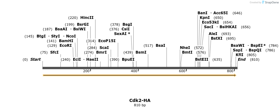56777_map