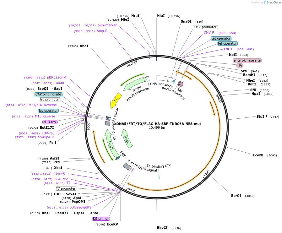 56822_map