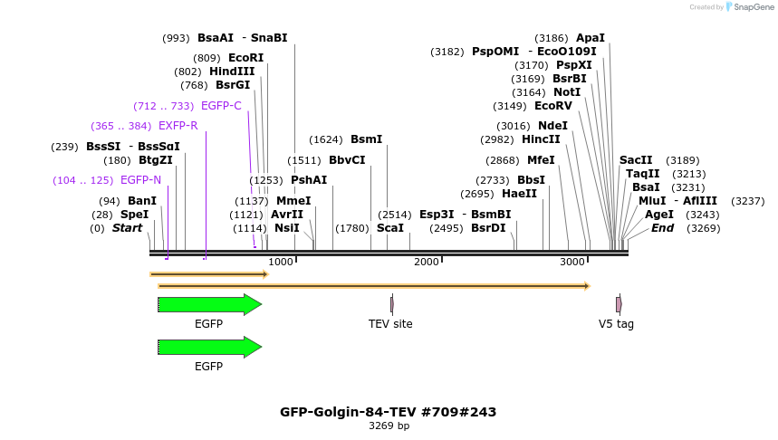 56846_map