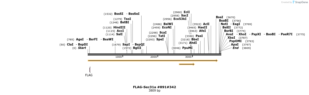56848_map