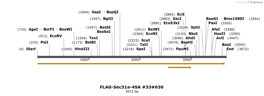 56851_map