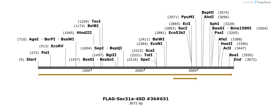 56852_map