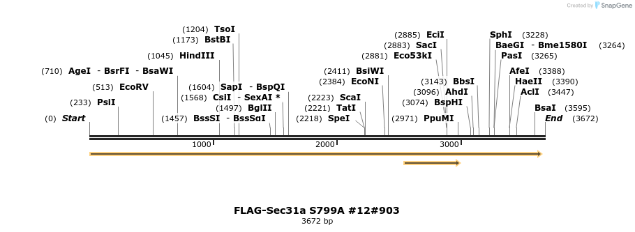 56854_map