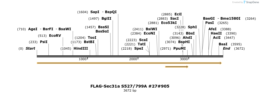 56856_map