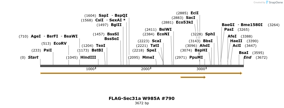 56859_map