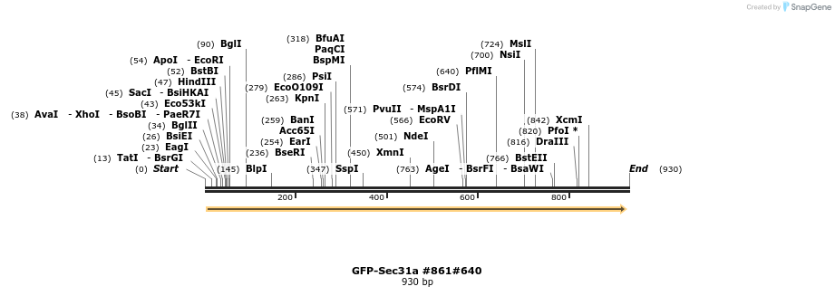 56860_map