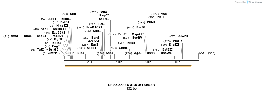 56861_map