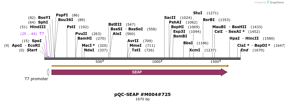 56862_map