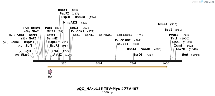 56864_map