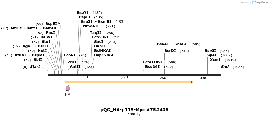 56865_map
