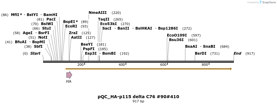 56866_map