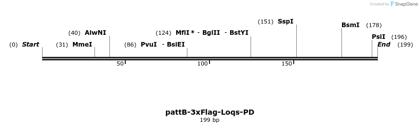 56874_map