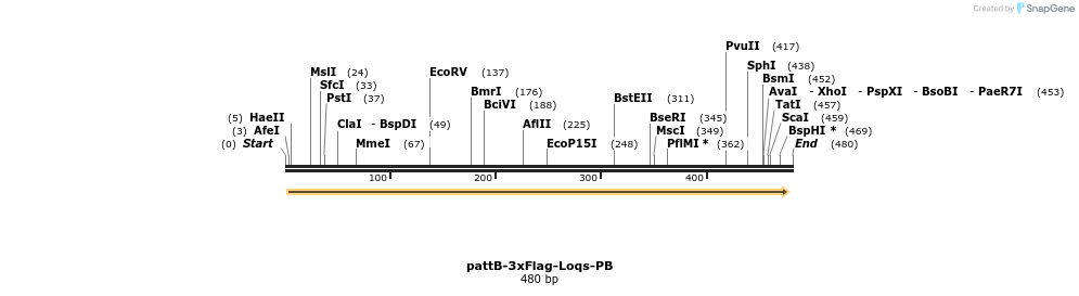 56875_map
