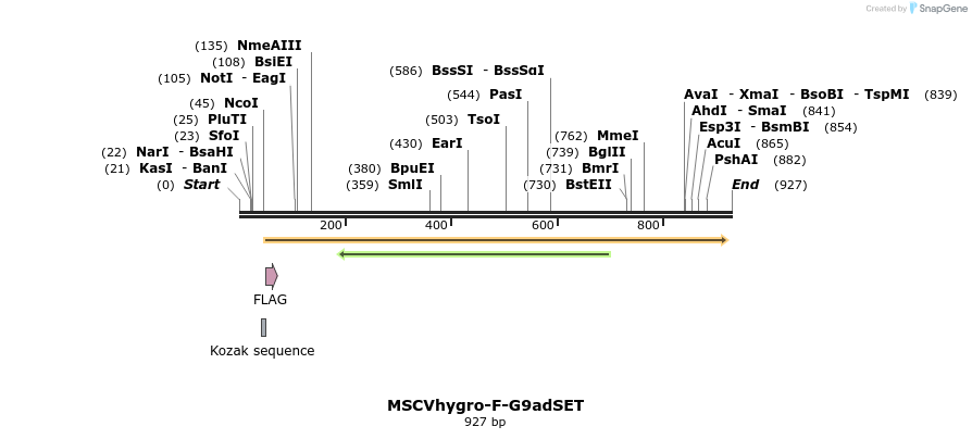 56885_map