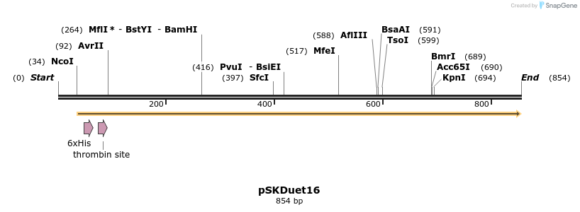56886_map
