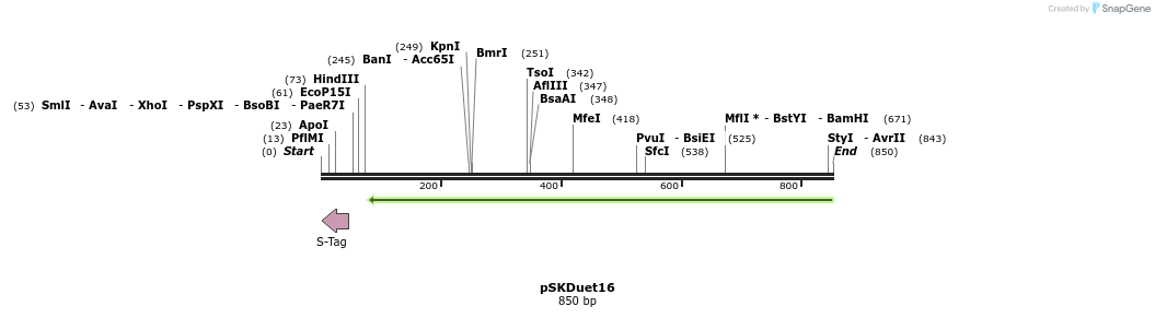 56887_map