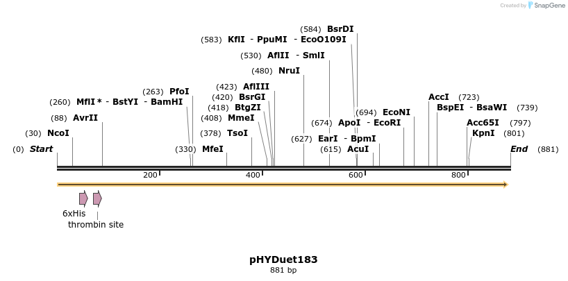 56890_map
