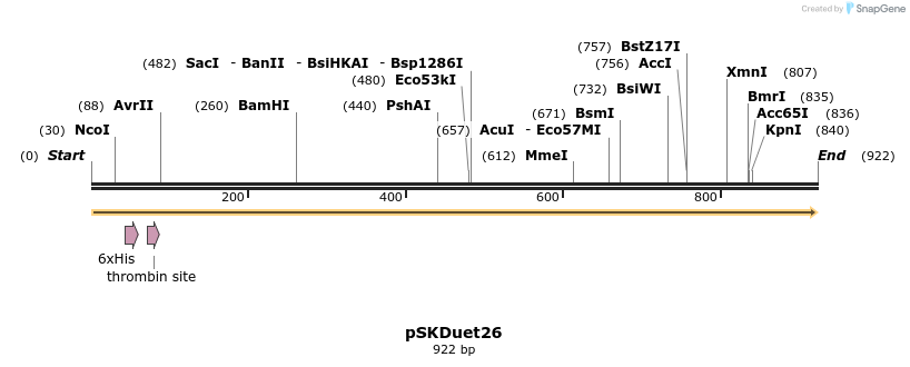 56892_map