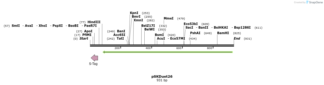 56894_map