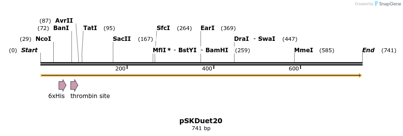 56896_map