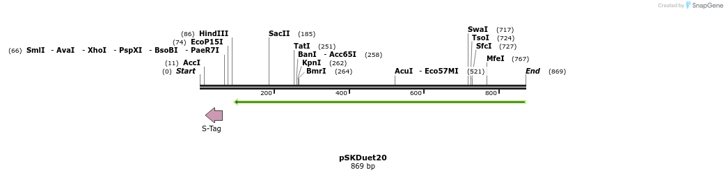 56899_map