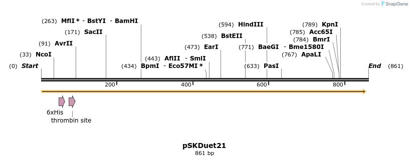 56900_map