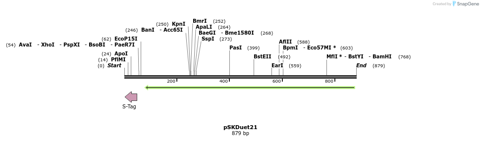 56901_map